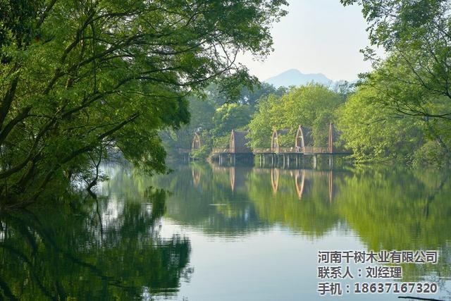 香港和宝典宝典资料大全首页